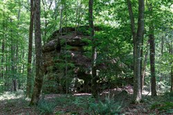 property photo for Rolling Hills Tract 10, 7.27 acres for sale in Wayne County, Kentucky