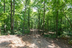 property photo for Rolling Hills Tract 10, 7.27 acres for sale in Wayne County, Kentucky