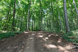 property photo for Rolling Hills Tract 10, 7.27 acres for sale in Wayne County, Kentucky