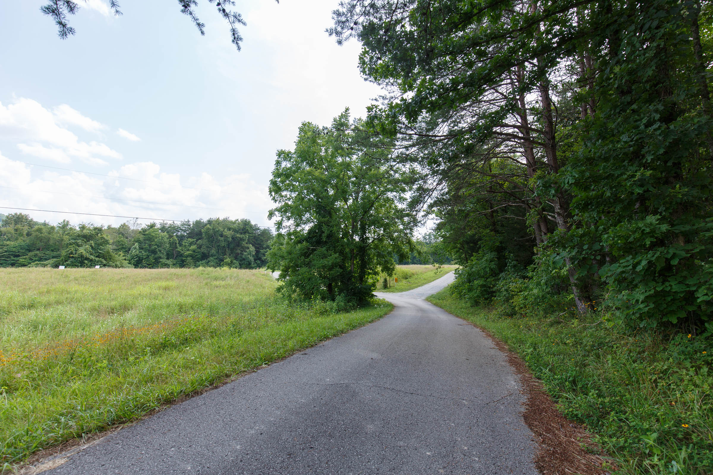 Tract 24 at Rolling Hills in Wayne County, Kentucky