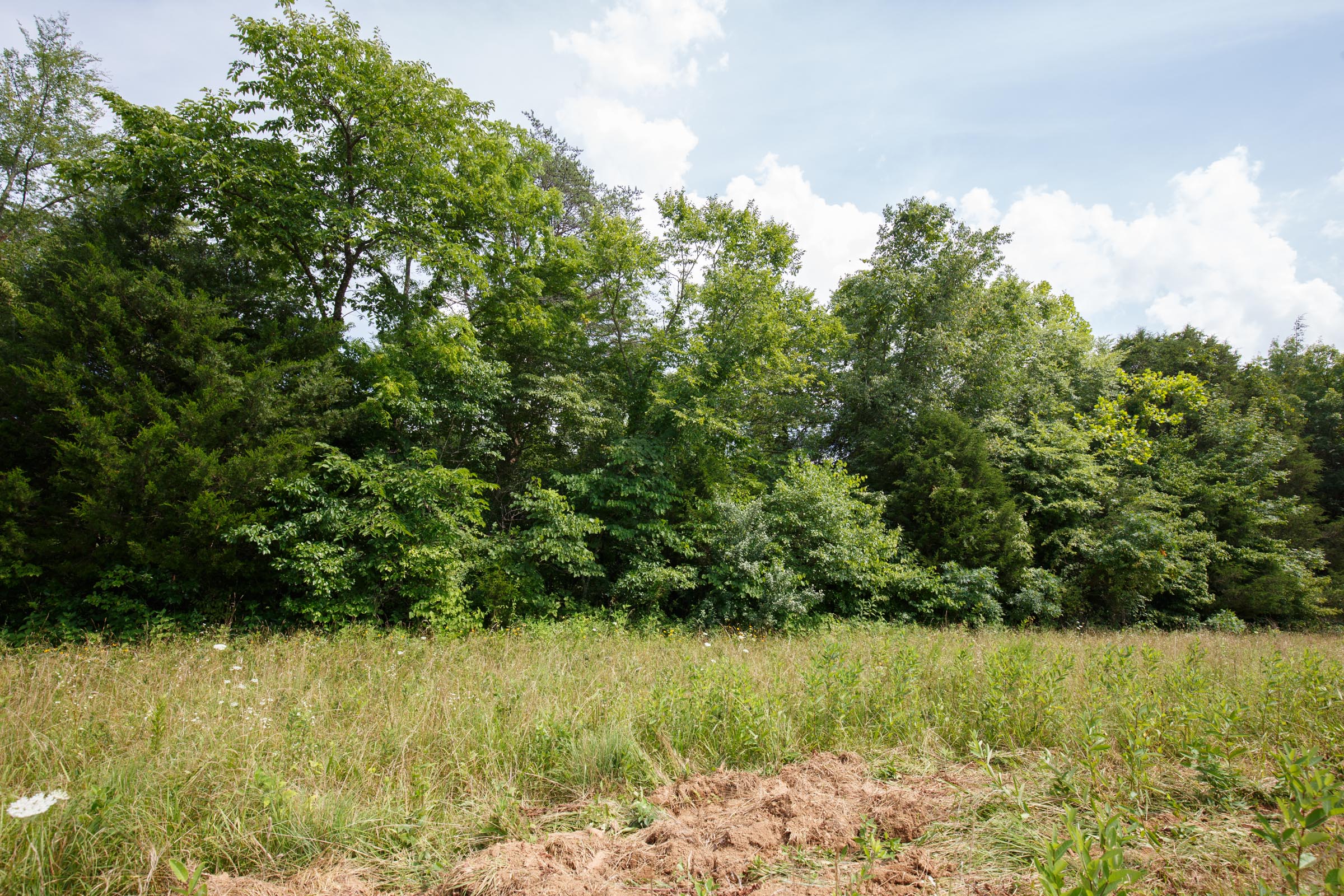 Tract 27 at Rolling Hills in Wayne County, Kentucky