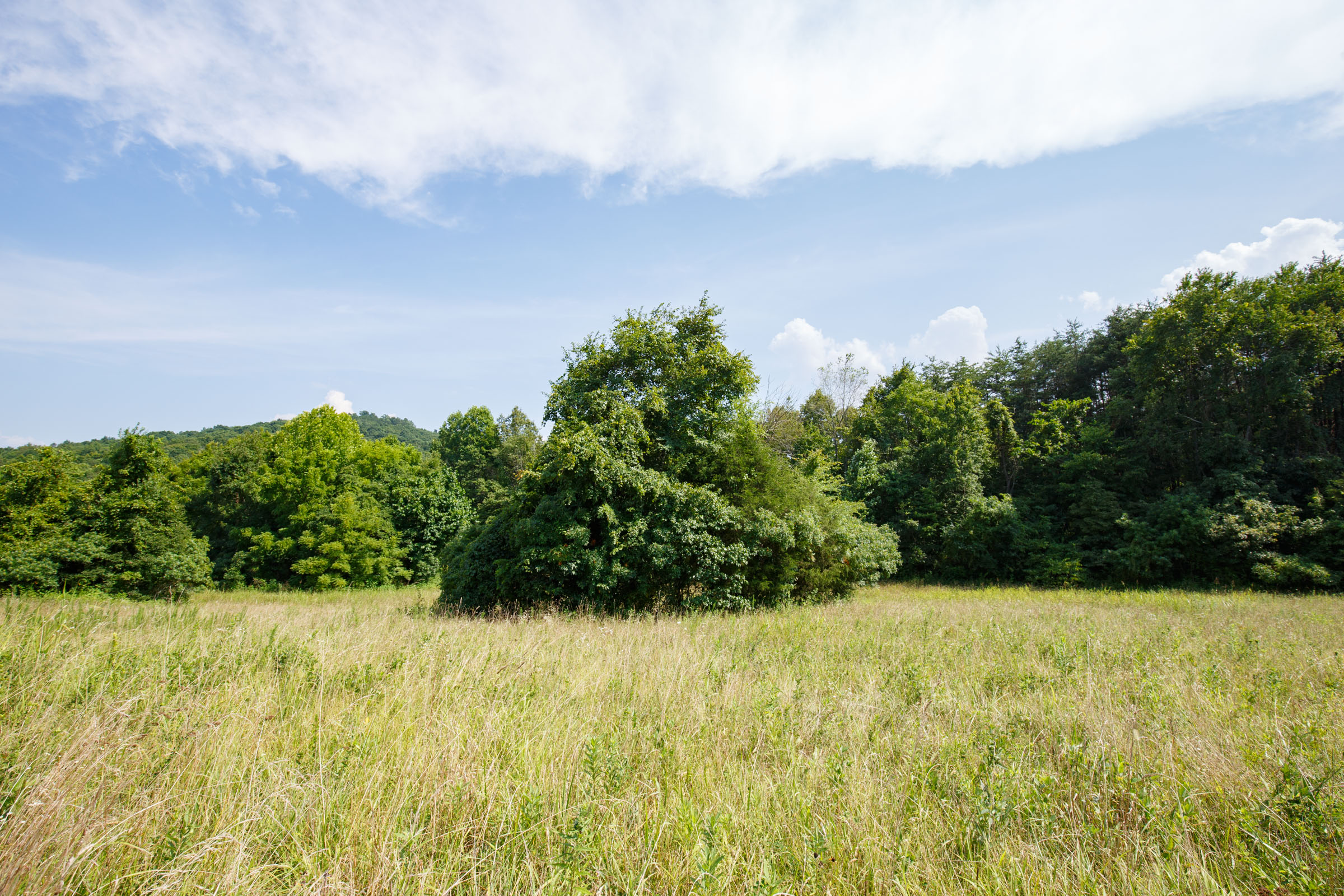 Tract 32 at Rolling Hills in Wayne County, Kentucky