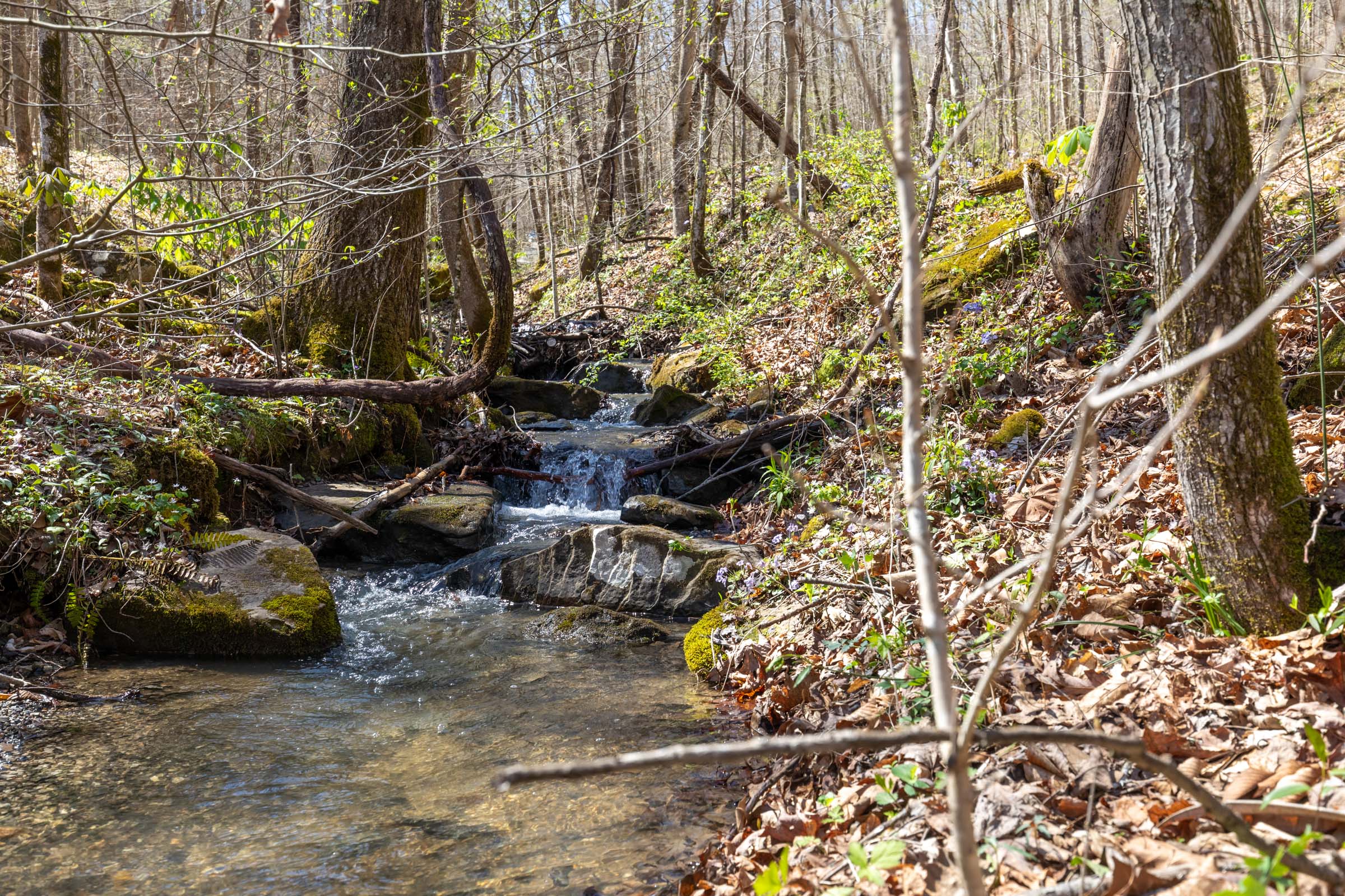 Tract 14 at Woodland Heights in Wayne County, Kentucky