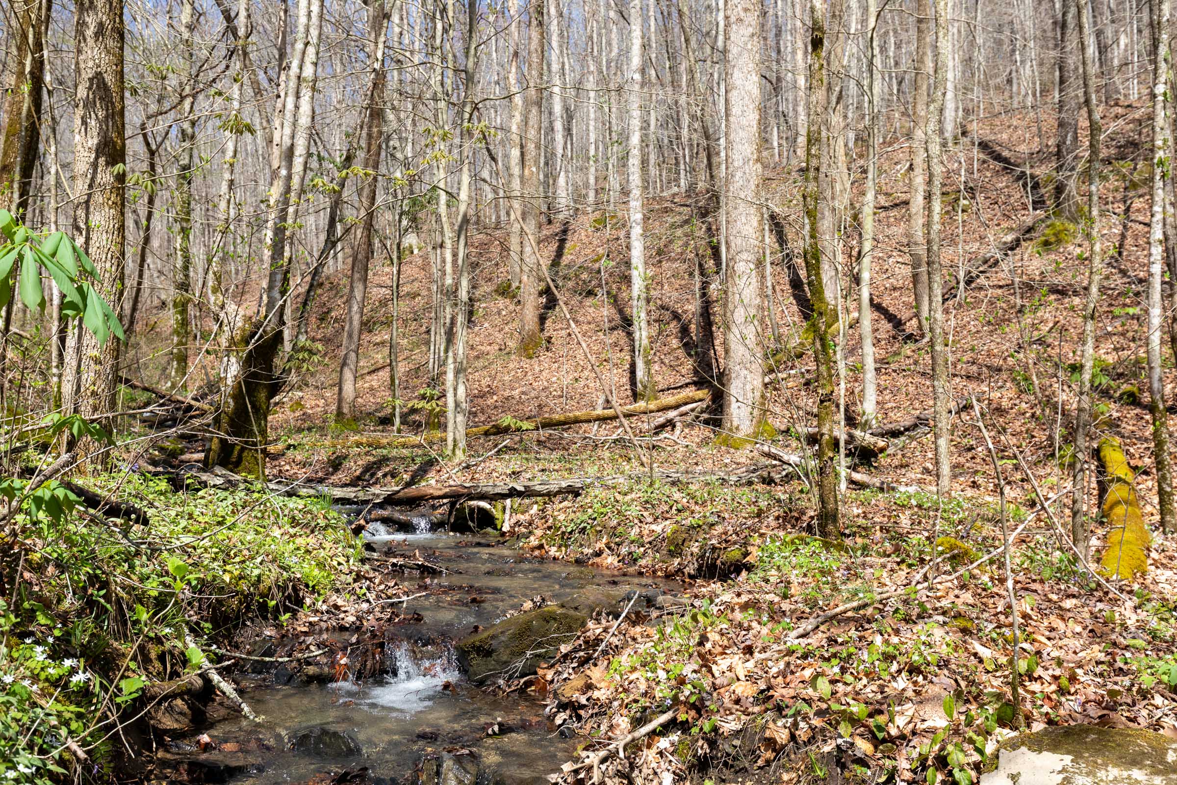 Tract 19 at Woodland Heights in Wayne County, Kentucky