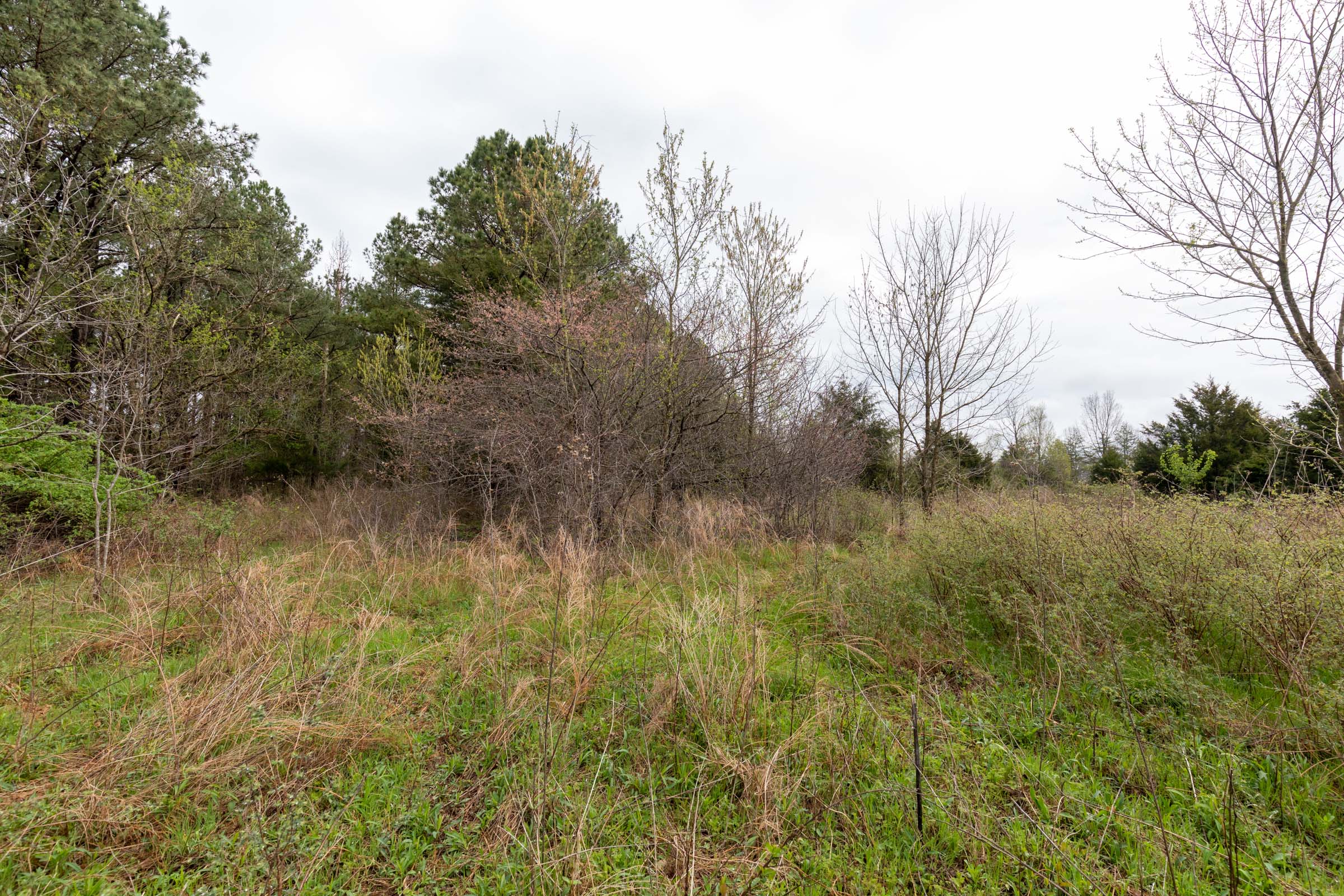 Tract 21 at Woodland Heights in Wayne County, Kentucky