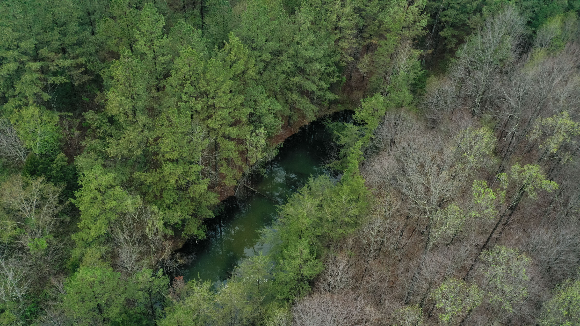 Tract 22 at Woodland Heights in Wayne County, Kentucky
