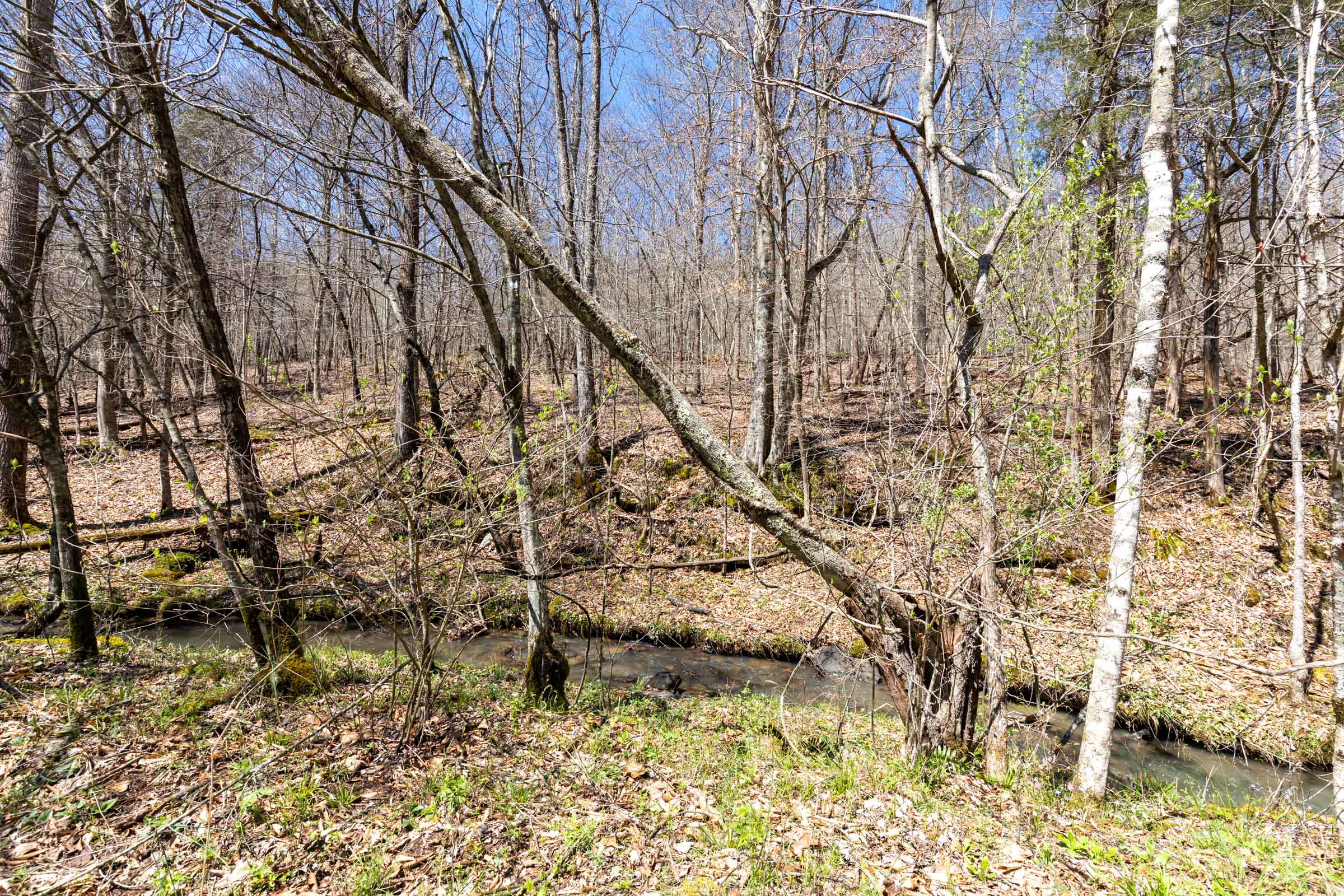 Tract 6 at Woodland Heights in Wayne County, Kentucky