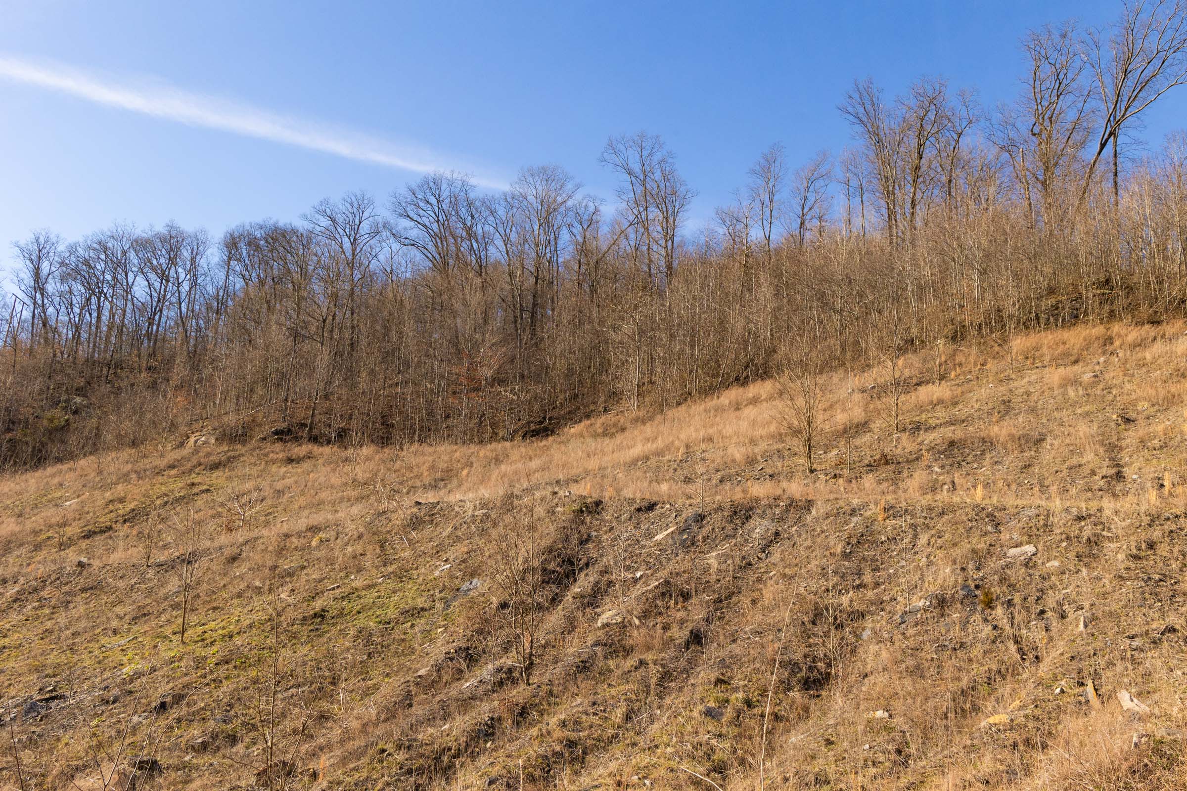Tract 10 at Jade Pass in Whitley County, Kentucky