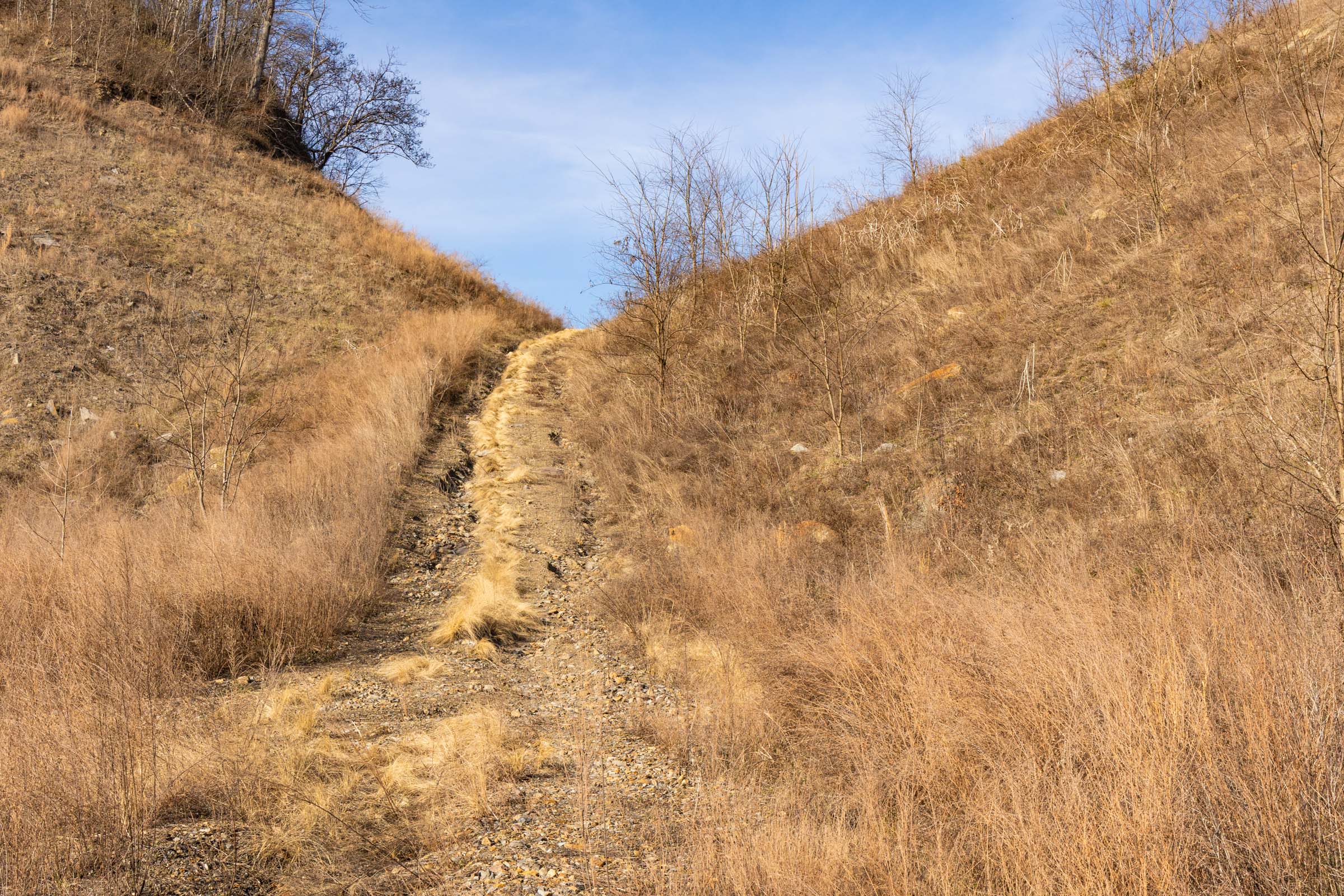 Tract 11 at Jade Pass in Whitley County, Kentucky