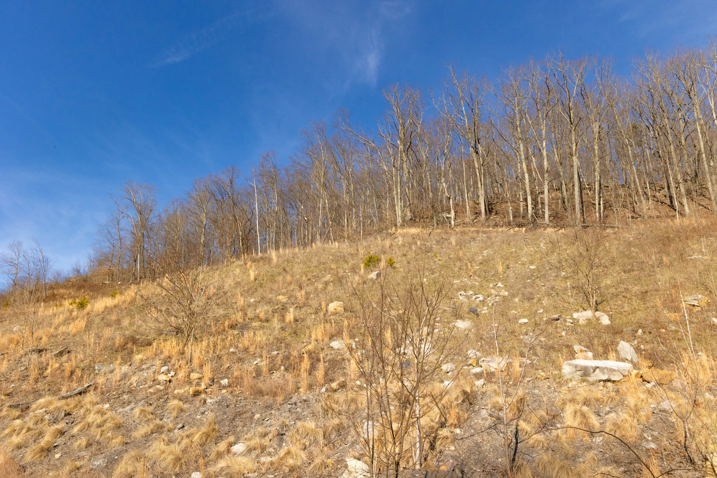 Tract 12 at Jade Pass in Whitley County, Kentucky