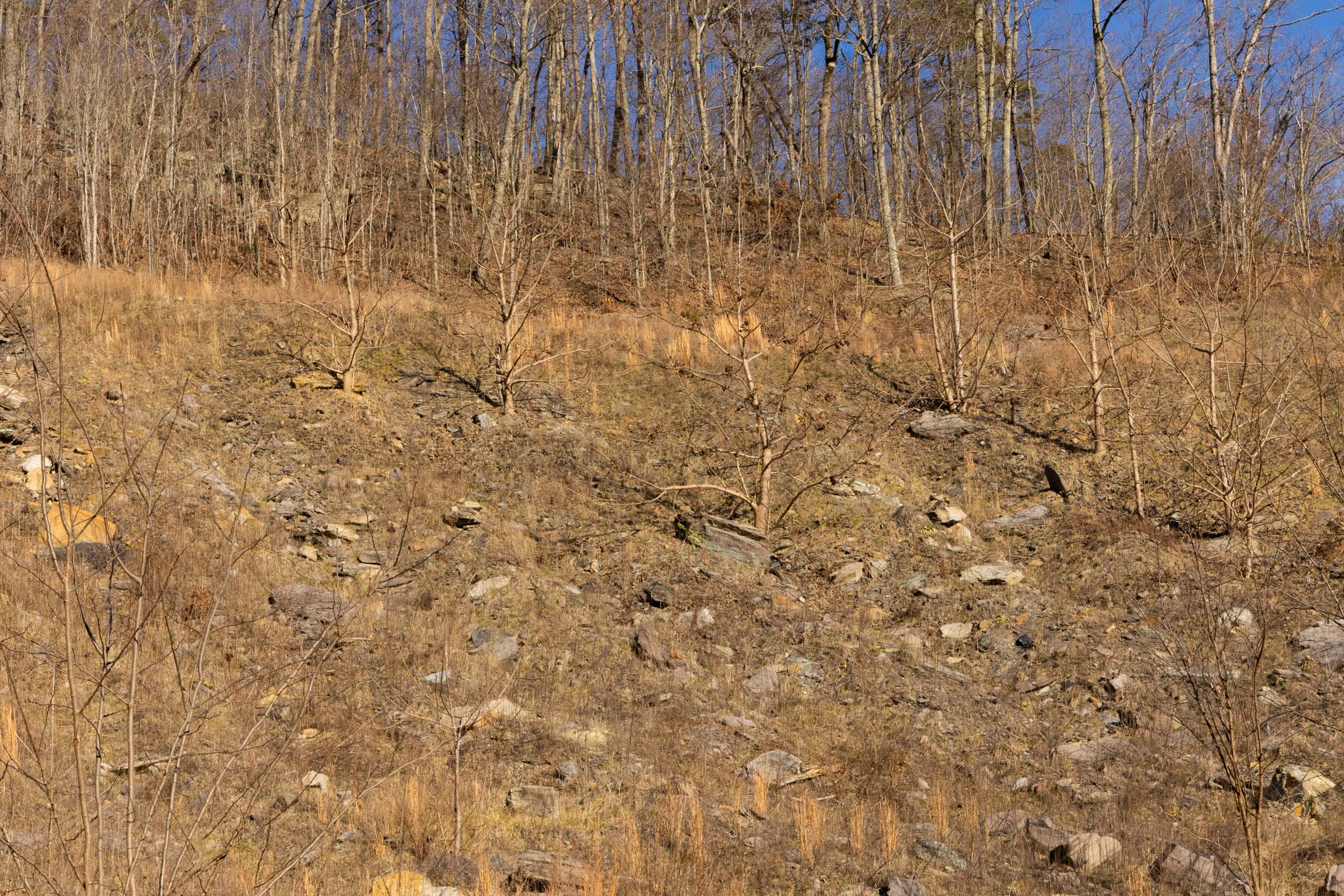 Tract 14 at Jade Pass in Whitley County, Kentucky