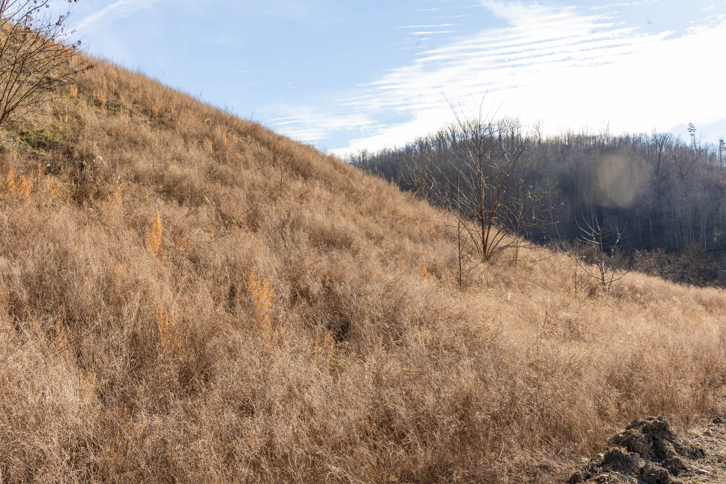 Tract 15 at Jade Pass in Whitley County, Kentucky