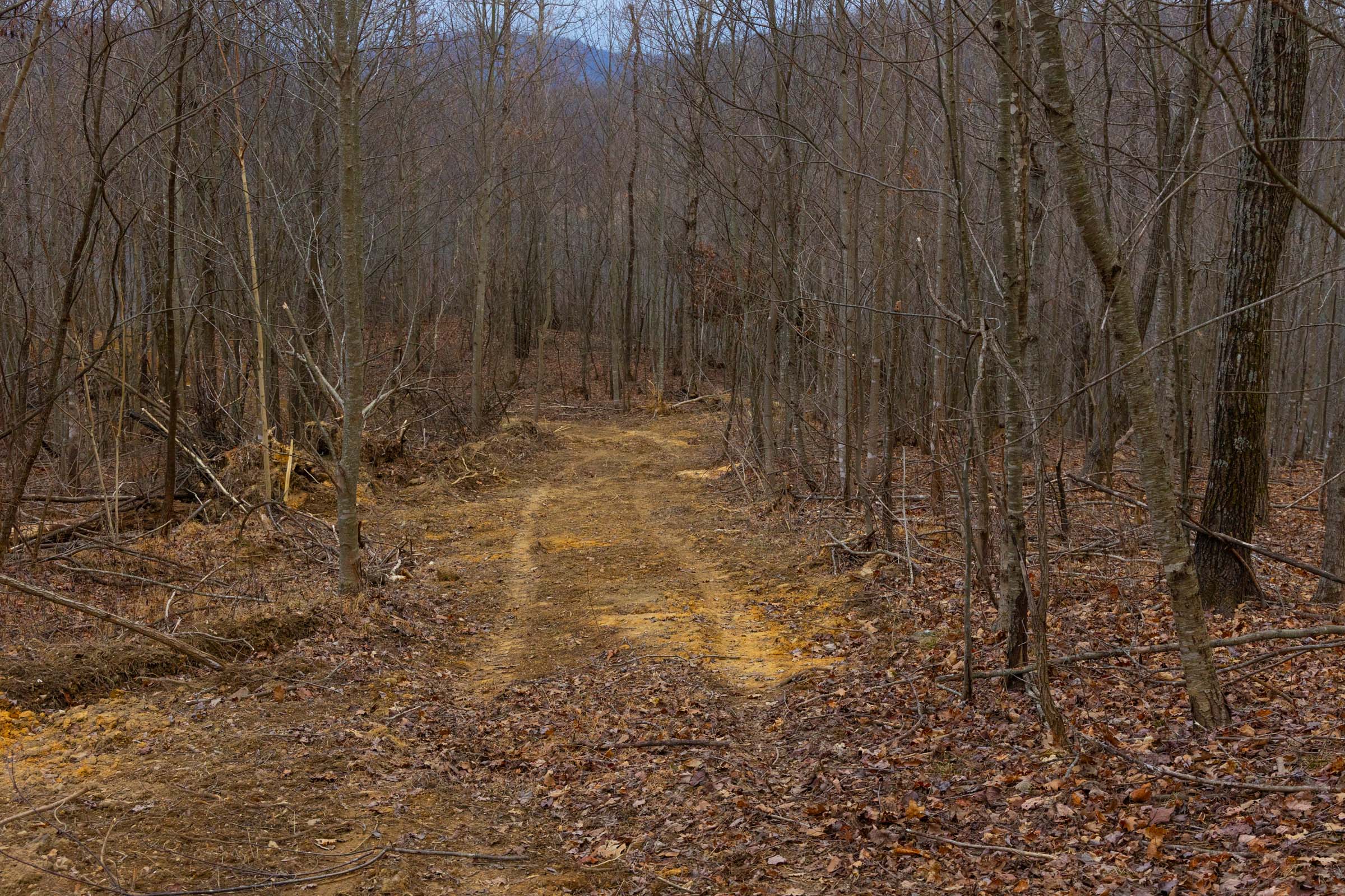 Tract 19 at Jade Pass in Whitley County, Kentucky