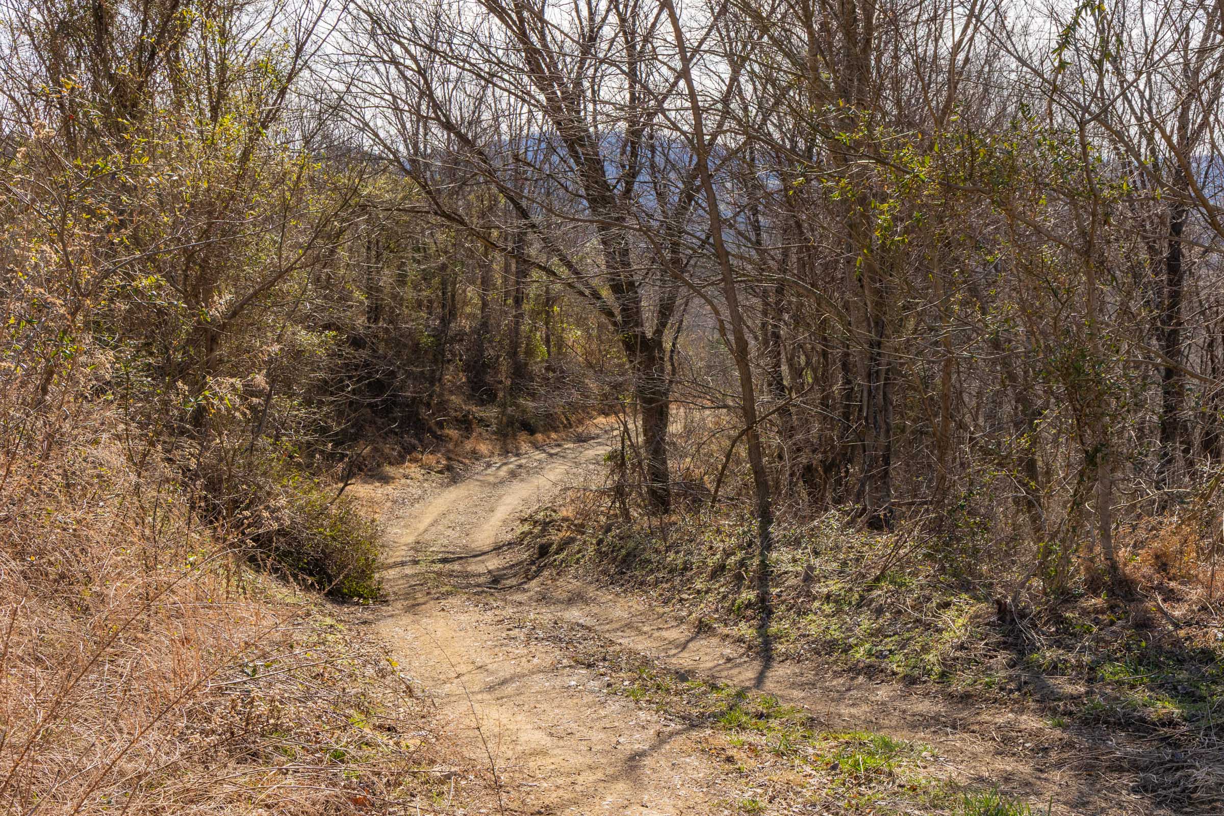 Tract 22 at Jade Pass in Whitley County, Kentucky