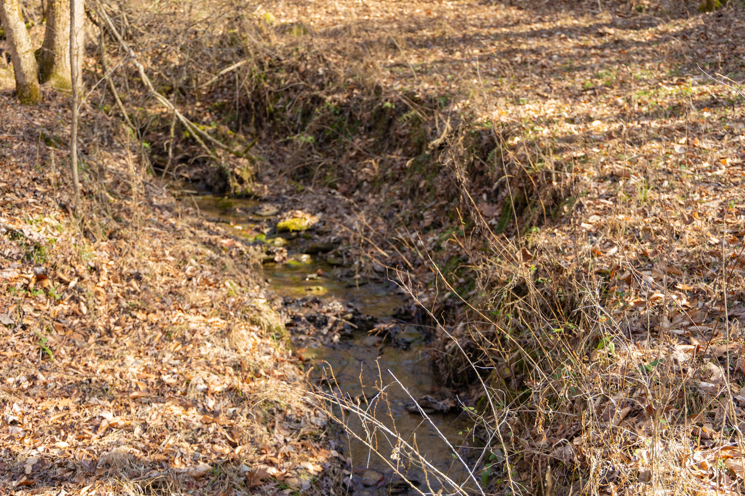 Tract 24 at Jade Pass in Whitley County, Kentucky