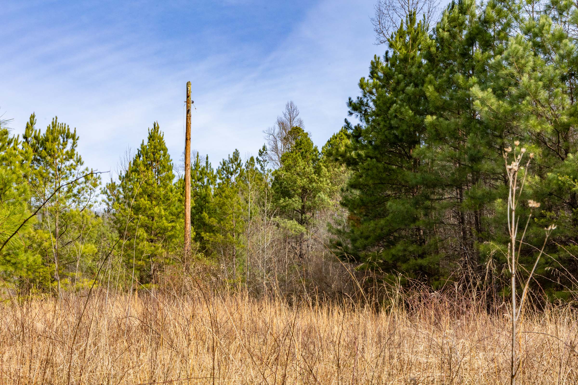 Tract 25 at Jade Pass in Whitley County, Kentucky