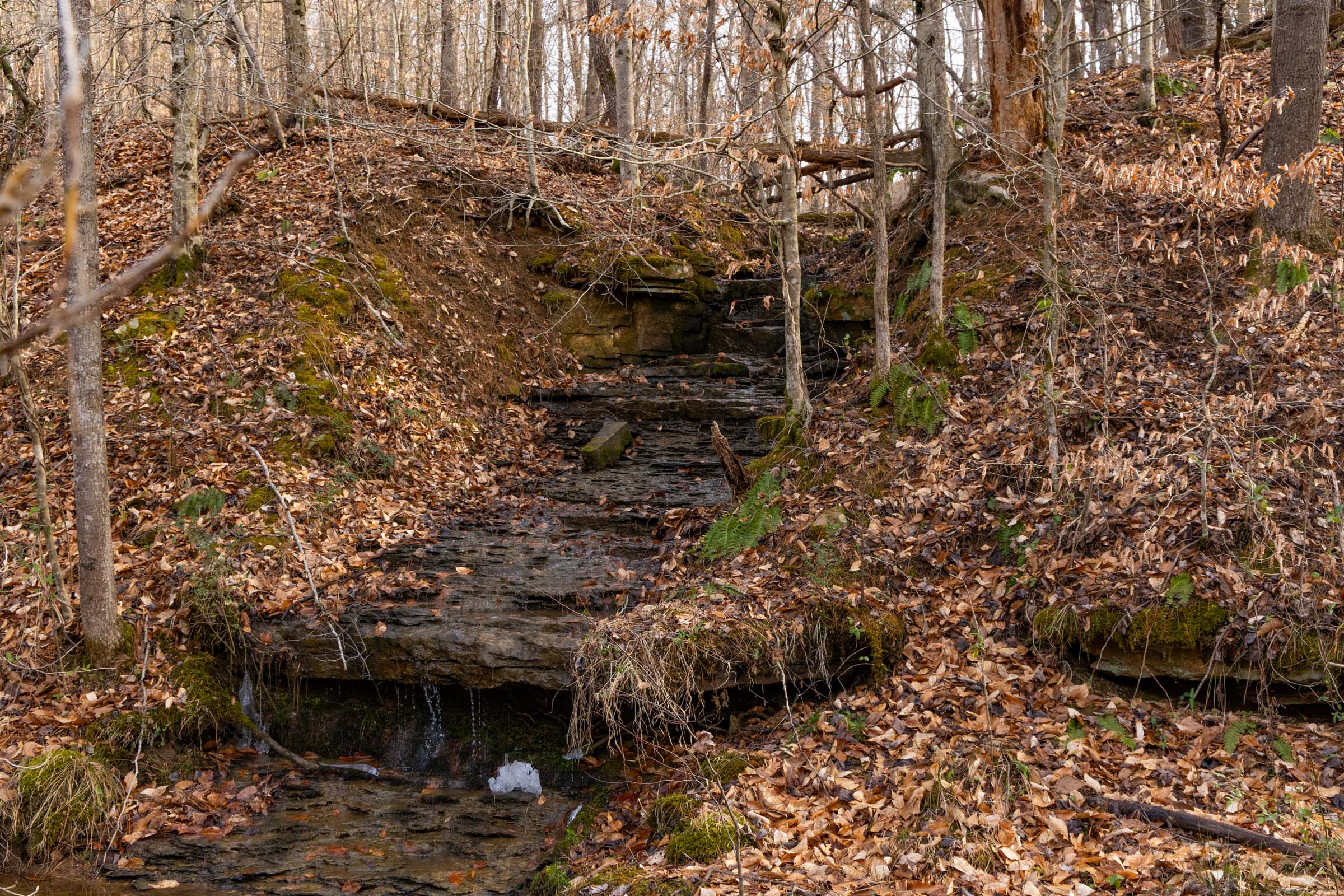 Tract 26 at Jade Pass in Whitley County, Kentucky