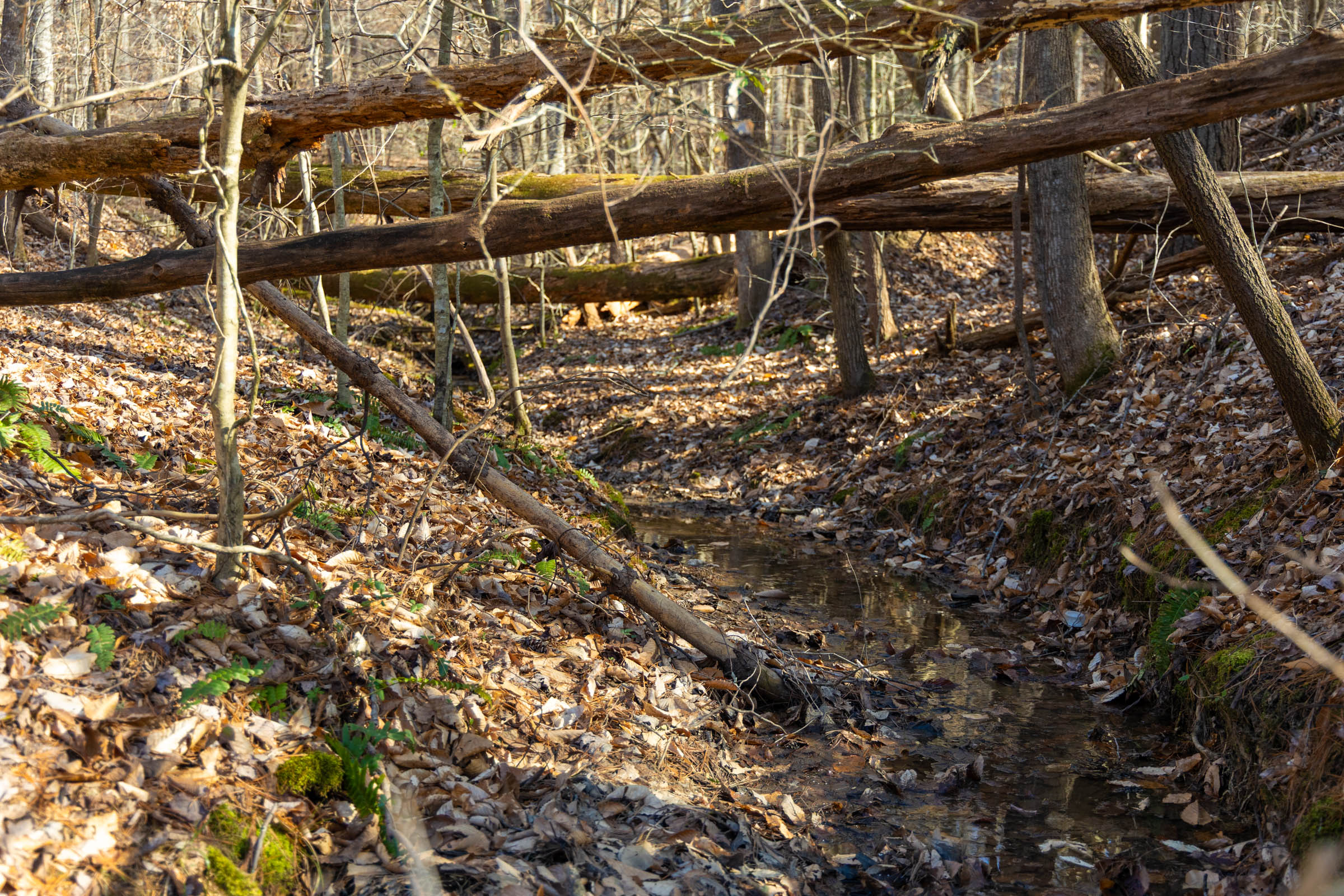 Tract 33 at Jade Pass in Whitley County, Kentucky
