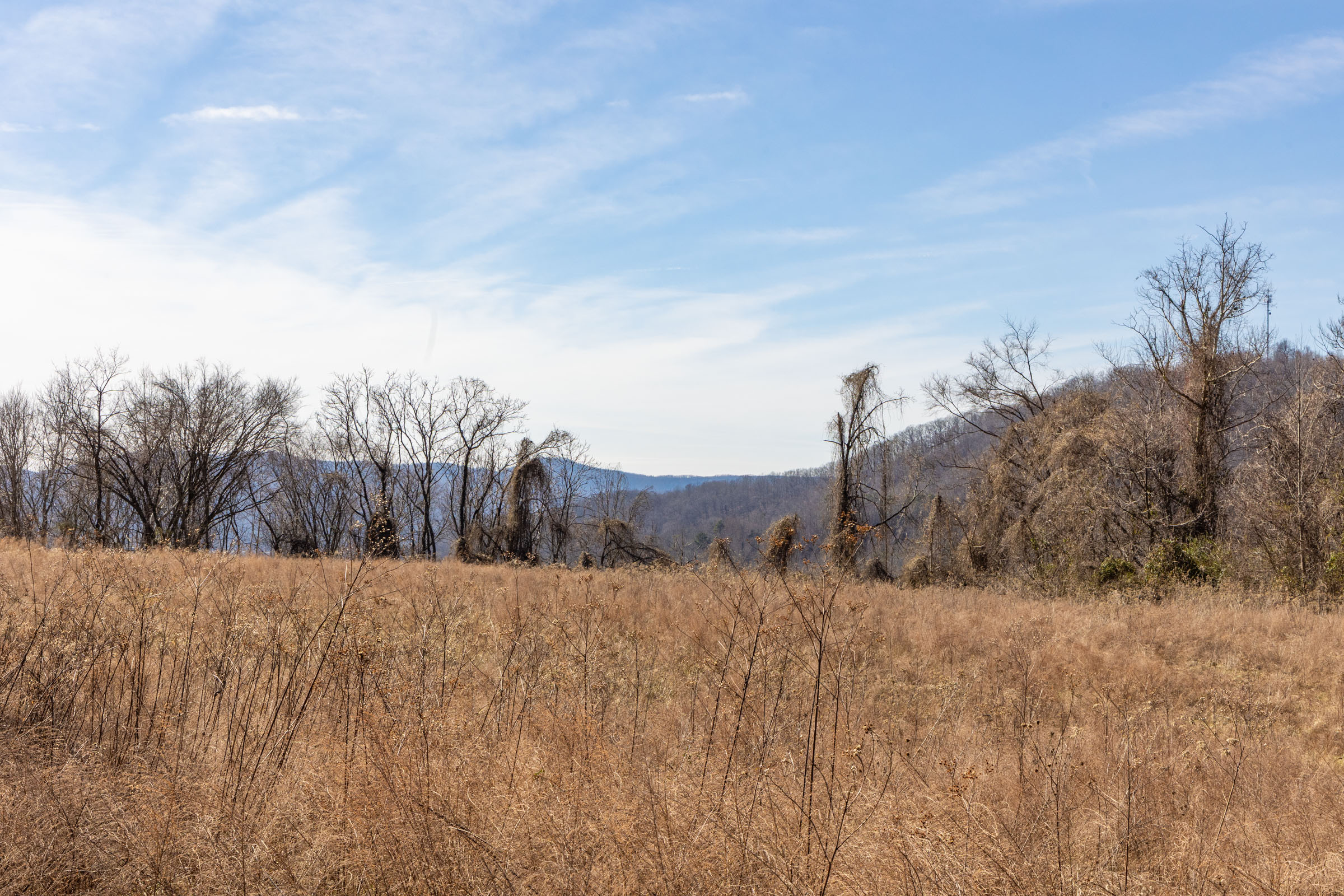 Tract 38 at Jade Pass in Whitley County, Kentucky