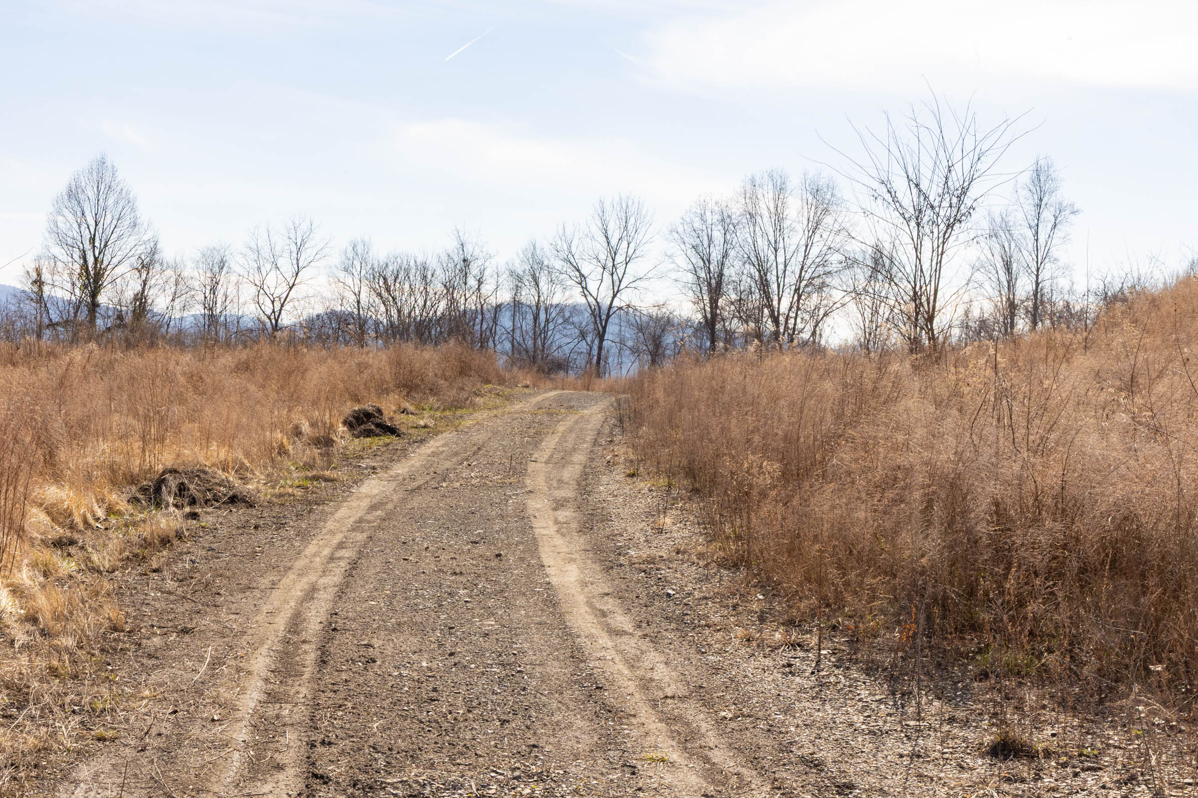 Tract 4 at Jade Pass in Whitley County, Kentucky