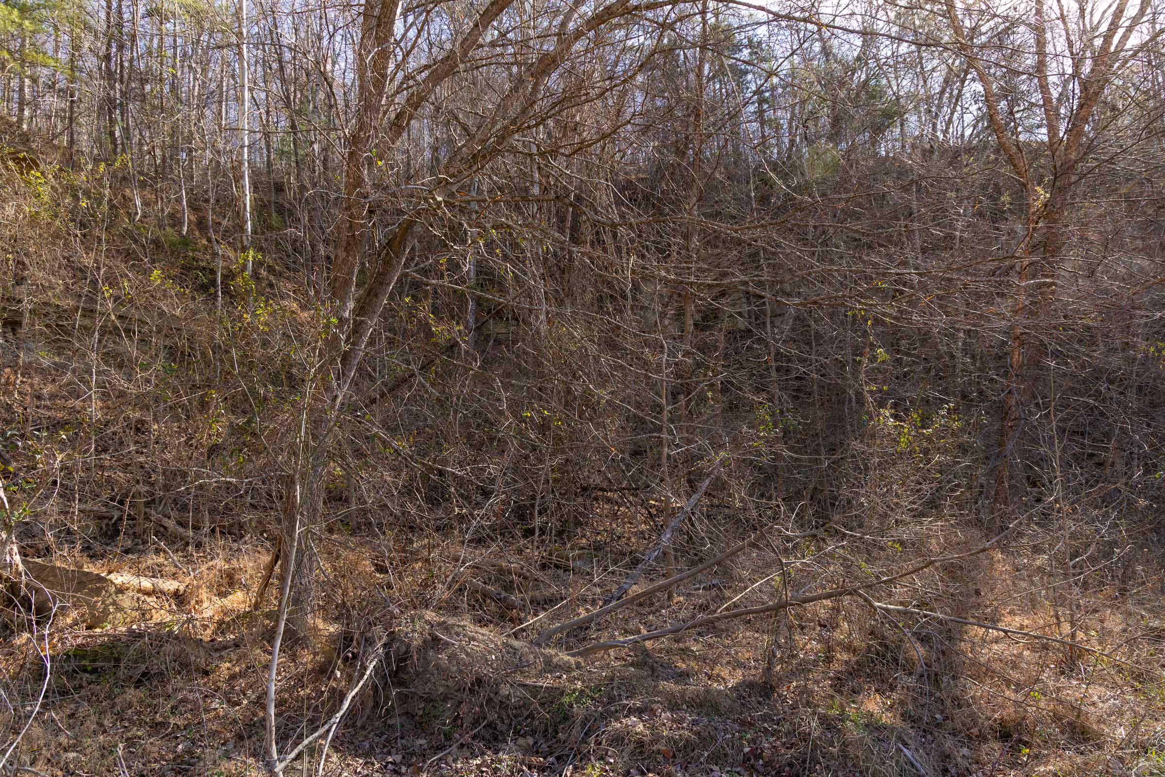 Tract 42 at Jade Pass in Whitley County, Kentucky